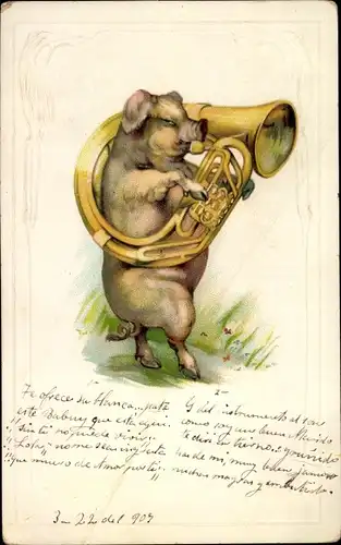 Präge Ak Vermenschlichtes Schwein mit einem Blasinstrument
