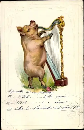 Präge Ak Vermenschlichtes Schwein spielt auf einer Harfe