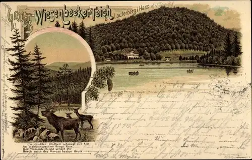 Litho Bad Lauterberg im Harz, Wiesenbeeker Teich, Hirsch