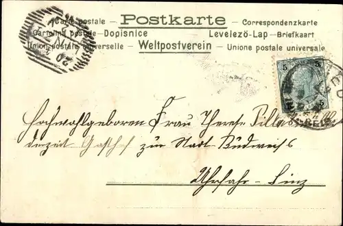 Mondschein Präge Ak Singende Katzen, Katzen als Sänger