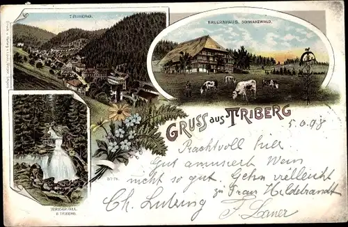 Litho Triberg im Schwarzwald, Gesamtansicht, Wasserfall, Schwarzwälder Bauernhaus, Kühe