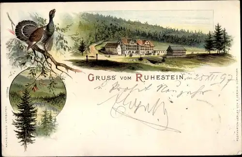 Litho Baiersbronn im Kreis Freudenstadt, Ruhestein, Wildsee, Auerhahn