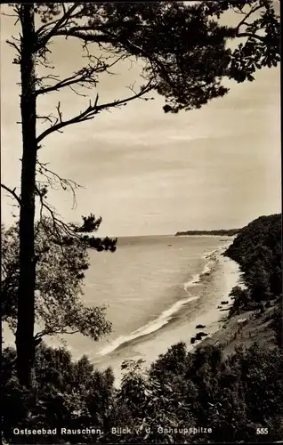 Foto Ak Otradnoje Georgenswalde Rauschen Swetlogorsk Ostpreußen, Blick von der Gausupspitze