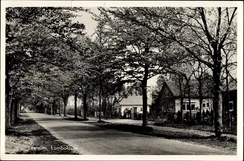 Ak Leersum Utrechtse Heuvelrug Utrecht, Lomboklaan