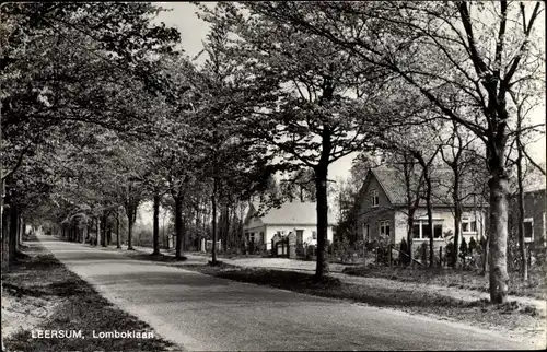 Ak Leersum Utrechtse Heuvelrug Utrecht, Lomboklaan