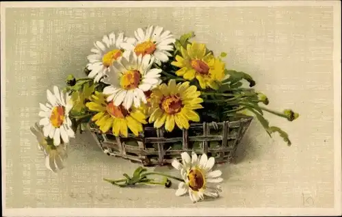 Künstler Ak Klein, Catharina, Margeriten in einem Korb, Blumen