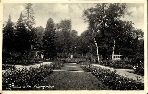 Ak Mainz am Rhein, Rosengarten