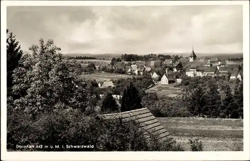 Ak Dornhan im Schwarzwald, Ortsansicht