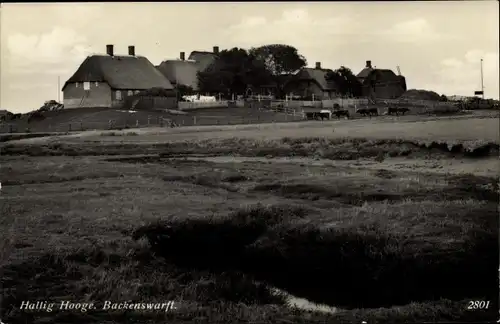 Ak Hallig Hooge in Nordfriesland, Backenswarft