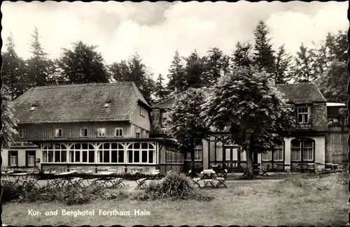 Ak Hain Hayn Oybin Oberlausitz, Kur- und Berghotel Forsthaus Hain