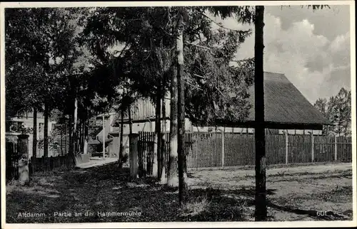 Ak Dąbie Szczecin Altdamm Stettin Pommern, Partie an der Hammermühle