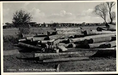 Ak Dąbie Szczecin Altdamm Stettin Pommern, Blick auf die Siedlung am Sportplatz, Baumstämme