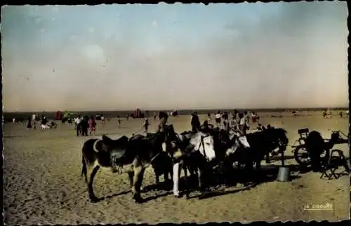 Ak Ouistreham Riva Bella Calvados, Les petits anes sur la plage