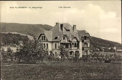 Ak Świeradów Zdrój Bad Flinsberg Schlesien, Villa Saxonia