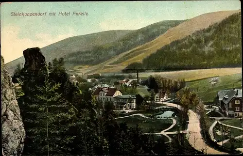 Ak Kamionki Steinkunzendorf Schlesien, Gesamtansicht, Hotel Forelle