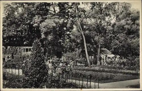 Ak Mainz am Rhein, Partie im Rosengarten
