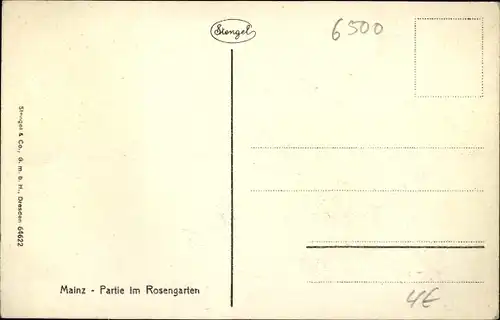 Ak Mainz am Rhein, Partie im Rosengarten