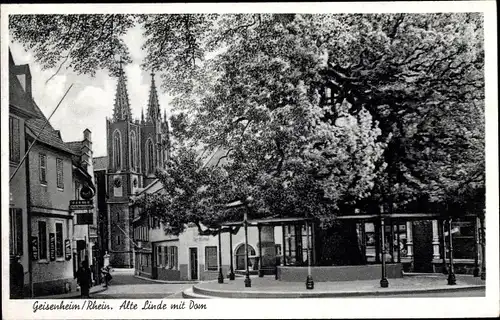 Ak Geisenheim am Rhein Hessen, Alte Linde mit Dom, Straßenpartie