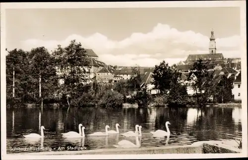 Ak Sulzbach Rosenberg,Partie am Stadtpark, Schwanenteich