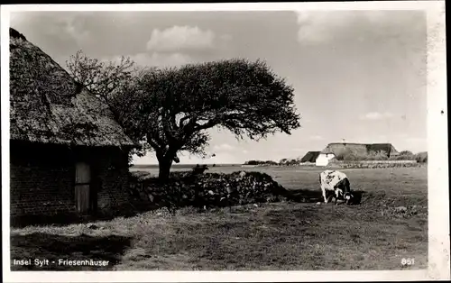 Ak Insel Sylt in Nordfriesland, Friesenhäuser, Reetdachhäuser, Kuh