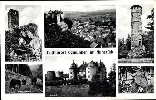 Ak Gemünden im Hunsrück, Alteburg, Rotwild, Schwarzwild, Schloss