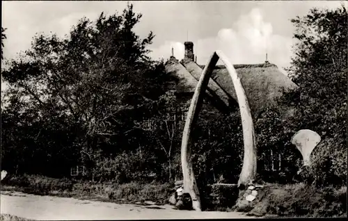 Ak Wyk auf Föhr Nordfriesland, Museum mit Walfischkieferknochen am Eingang