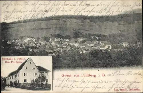 Ak Feldberg im Schwarzwald Baden, Panorama, Gasthaus zum Ochsen