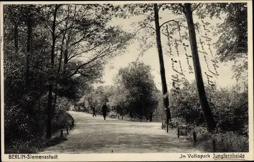 Ak Berlin Spandau Siemensstadt, Partie im Volkspark Jungfernheide