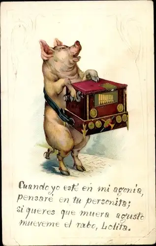 Präge Ak Vermenschlichtes Glücksschwein mit Leierkasten