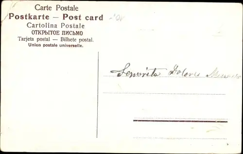 Präge Ak Vermenschlichtes Glücksschwein mit Leierkasten