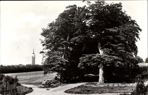 Ak Rhenen Utrecht, Gezicht op de Koerheuvel