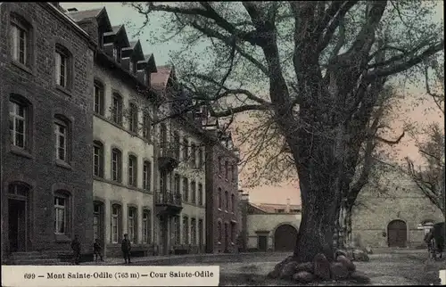 Ak Obernai Elsass Bas Rhin, Odilienberg Mont Sainte Odile, Cour Sainte Odile, Baum