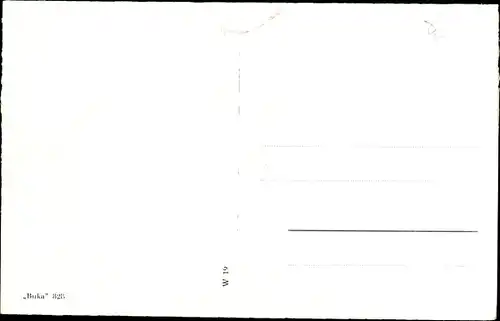 Ak Gemünden im Hunsrück, Alteburg, Rotwild, Schwarzwild, Schloss