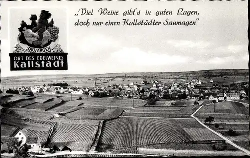 Ak Kallstadt in der Pfalz, Gesamtansicht, Saumagen