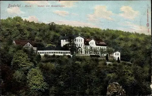 Ak Treseburg Thale im Harz, Hotel zur Rosstrappe, Wald