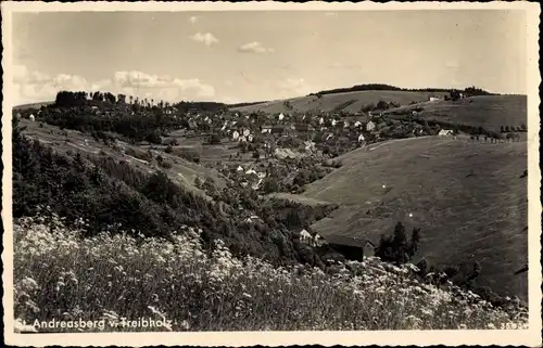 Ak Sankt Andreasberg Braunlage im Oberharz, Panorama v. Treibholz