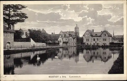 Ak Neustadt an der Orla, Gamsenteich