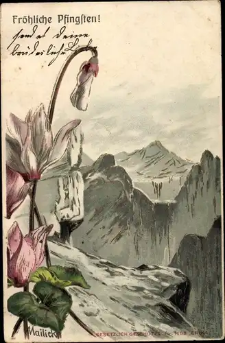 Präge Künstler Litho Mailick, Glückwunsch Pfingsten, Alpenveilchen, Gebirge