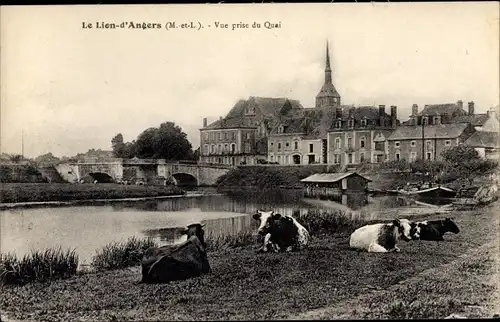 Ak Le Lion d'Angers Maine et Loire, Vue prise du Quai, Kuhweide, Uferpartie