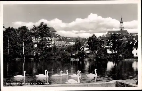 Ak Sulzbach Rosenberg, Partie am Stadtpark, Schwanenteich