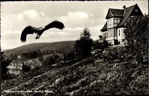 Ak Berlebeck Detmold im Teutoburger Wald, Kaiseradler im Anflug zur Warte