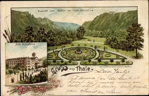 Litho Thale im Harz, Hotel Zehnpfung, Aussicht vom Balkon, Parkanlagen