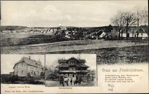 Ak Friedrichsbrunn Thale im Harz, Panorama, Auguste Victoria Heim, Dambachhaus