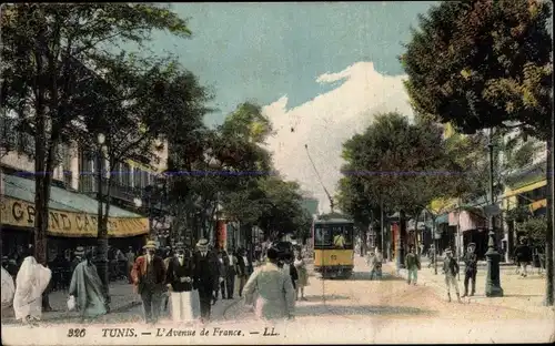 Ak Tunis Tunesien, L'Avenue de France