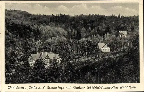 Ak Bad Essen in Niedersachsen, Partie a. d. Essener Bergen m. Kurhaus Waldhotel u. Haus Waldeck