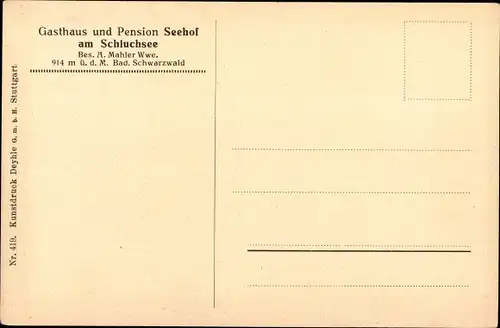 Ak Hinterzarten im Südschwarzwald, Gasthaus und Pension Seehof am Schluchsee, Inh. A. Mahler Wwe. 