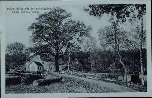 Ak Gommern Jerichower Land, Neue Mühle mit der historischen Eiche