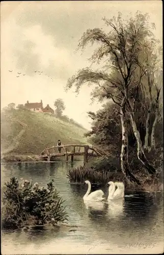 Künstler Ak Hayes, F. W., Landschaft mit Schwänen, Meissner & Buch 1243