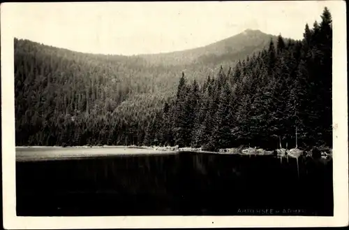 Ak Bayerisch Eisenstein in Niederbayern, Großer Arber, Arbersee, Böhmerwald