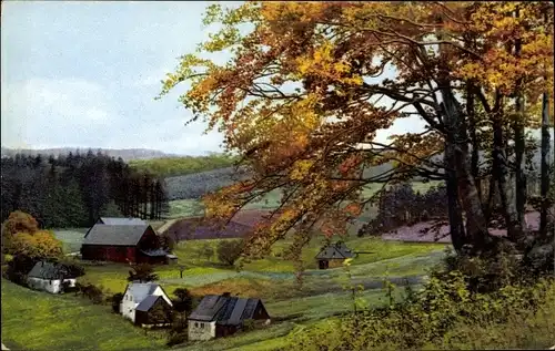 Ak Frauenbach Neuhausen in Sachsen, Photochromie